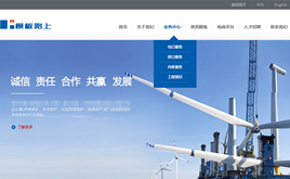 (mng)cmsӢpZ(y)˾/I(y)/F(tun)/ͨ;W(wng)վģ