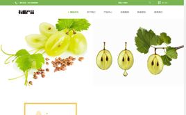 ģ-푑(yng)ʽGɫa(chn)Ʒ˾W(wng)վģ[m(yng)]