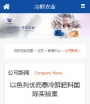 手機(jī)新聞內(nèi)容