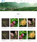 集團(tuán)產(chǎn)業(yè)