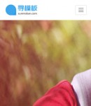 手機(jī)產(chǎn)業(yè)詳情