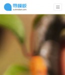 手機(jī)業(yè)務(wù)服務(wù)