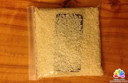 Dropped an iPhone in Water? Here’s How to Save It from Water Damage