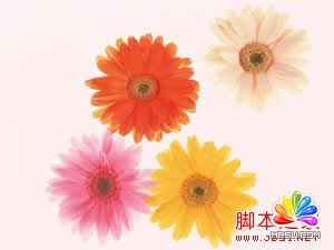 ASPMAspJpeg(ˮӡ)ʹ÷ȫ - ^ - ^ĵرP