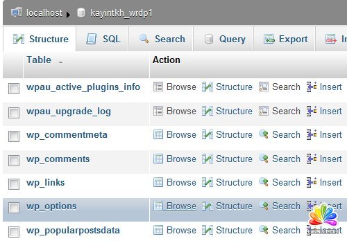 WordPress博客程序常見錯誤的解決方法
