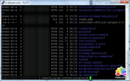 WordPress博客程序常見錯誤的解決方法