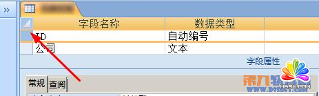 Access教程 如何在字段定義主鍵