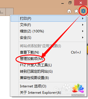 flash player怎么開啟